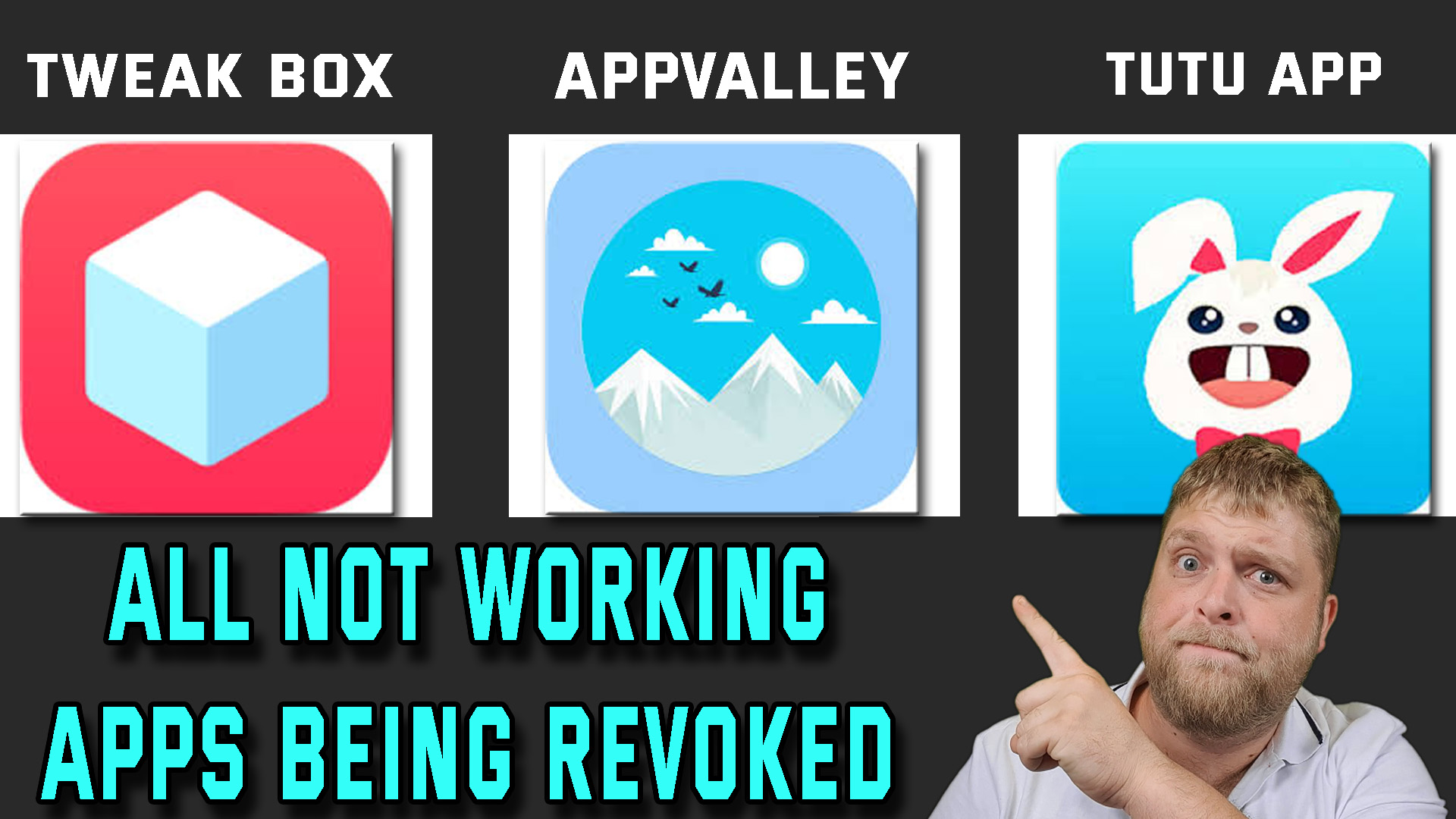 Apps revoked ios